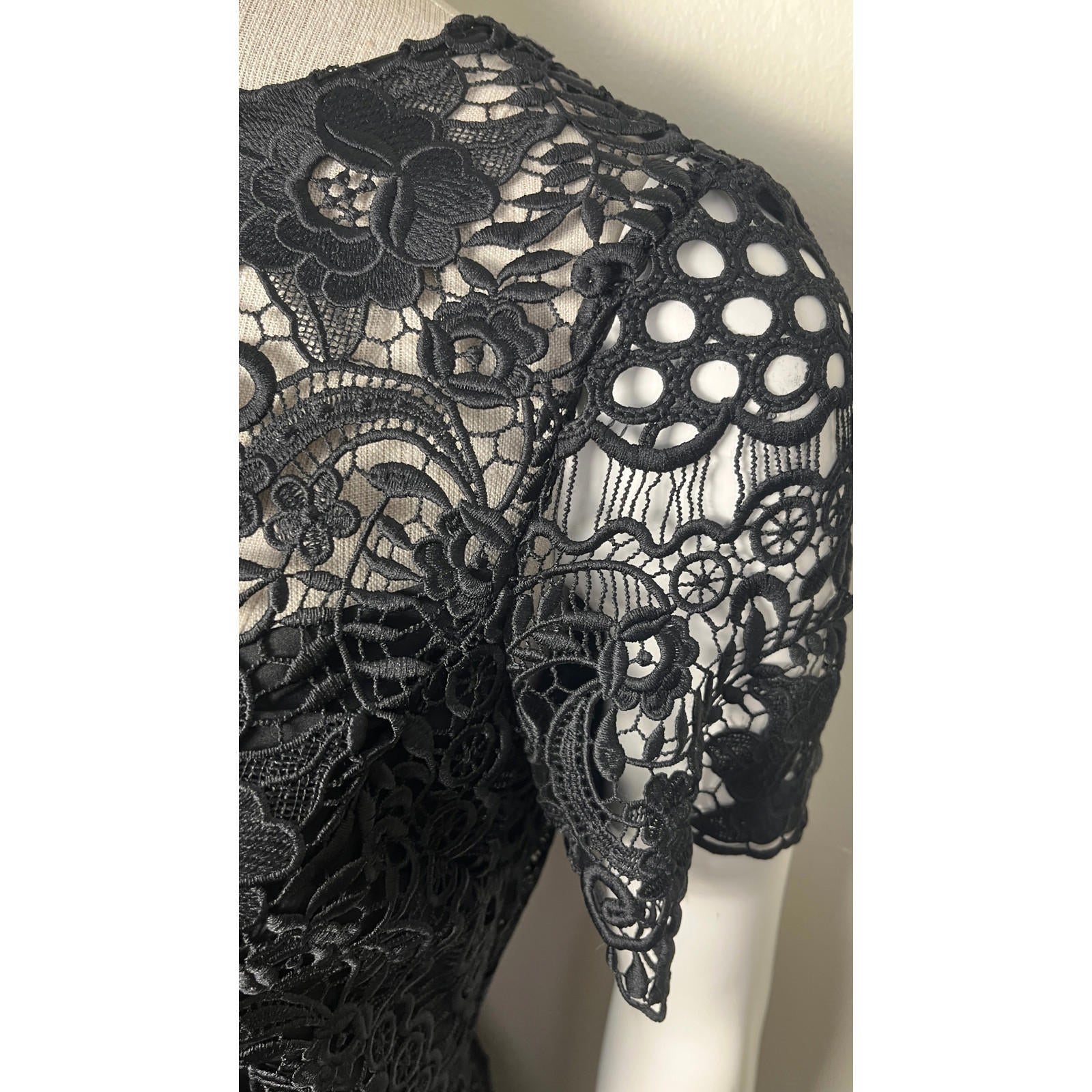 TERI JON Guipure Lace Dress