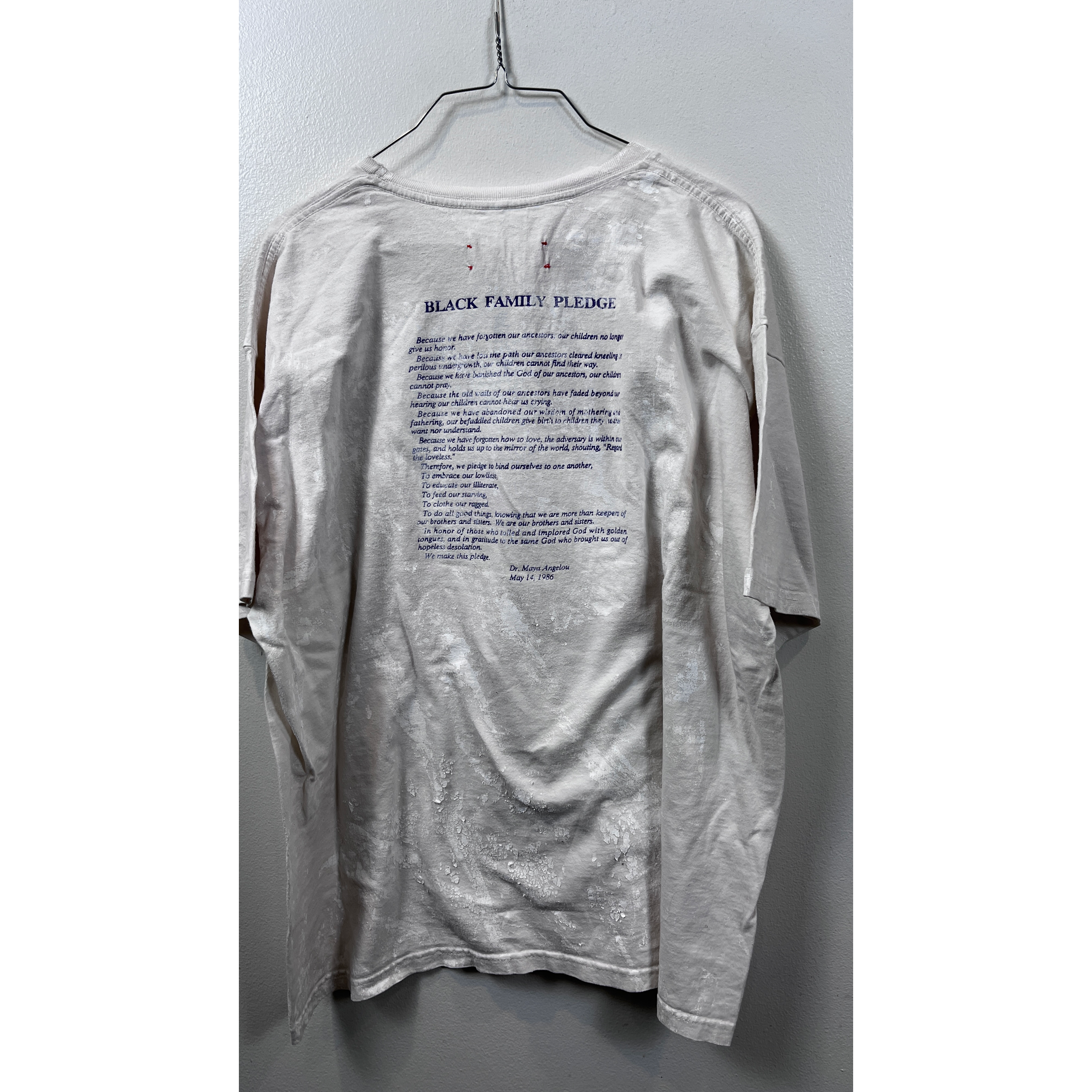 DREAM AND DESTROY Defend Maya Angelou T-Shirt