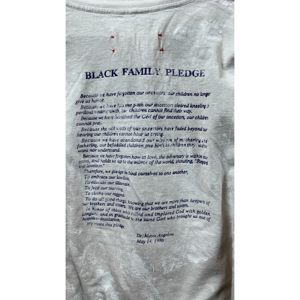 DREAM AND DESTROY Defend Maya Angelou T-Shirt