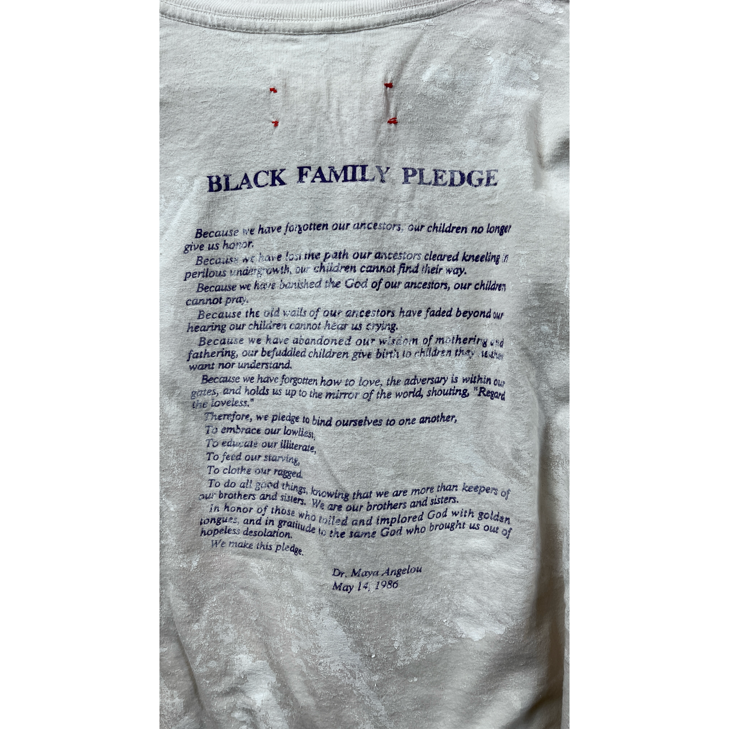 DREAM AND DESTROY Defend Maya Angelou T-Shirt