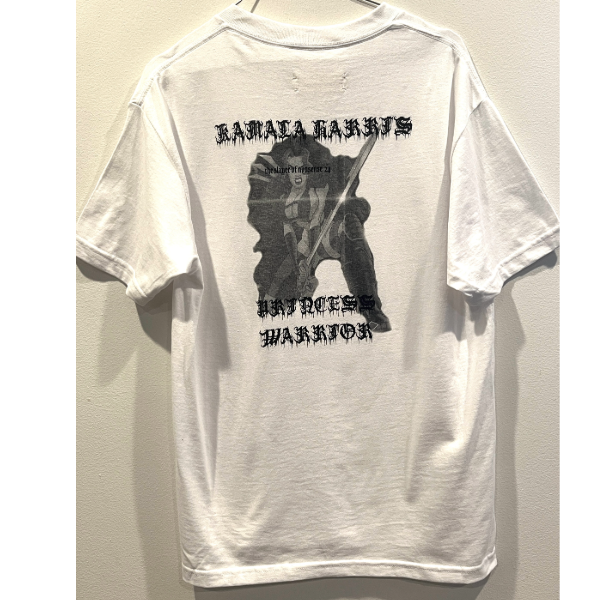 Kamala Harris 2024 Slayer of Nonsense T-shirt